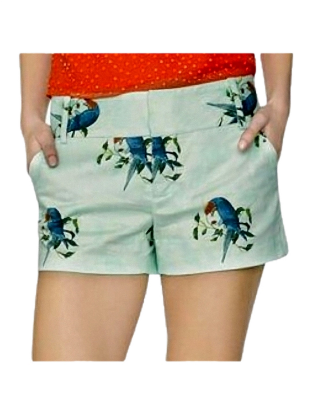 🆕 ALICE + OLIVIA "PARROTS OF PARADISE" TEAL TROPICAL BIRDS   SHORTS 🦜 SIZE 6